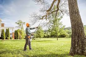 Leaf Removal in Greenville, VA