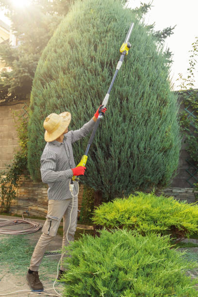 Best Aeration Services  in Greenville, VA